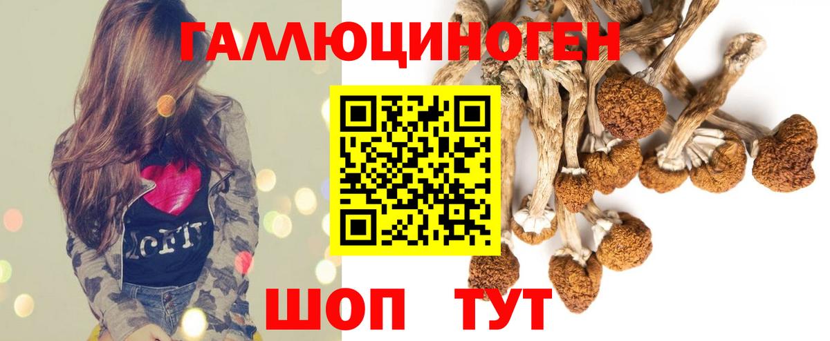 Ангарск  Галлюциногенные грибы GOLDEN TEACHER  Вход с VPN 